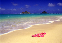 Hawaii, scenics, travel, stock photos
