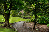 Lyon Arbor-Hawʻn Ethno Garden-0656-2