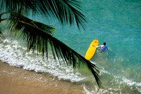 Waikiki surfboard 1