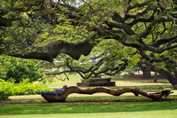 Moanalua Gardens, Honolulu, Hawaii