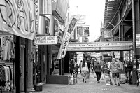 BRighton Bch-9487