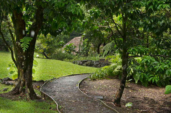 Lyon Arbor-Hawʻn Ethno Garden-0656-2