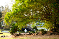 Liliuokalani Gardens-08866 copy