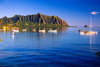 Kahaluu Morning-straight 6020
