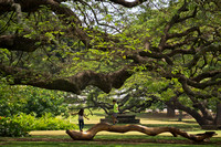 Moanalua Gardens, Honolulu, Hawaii