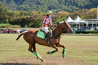 HNL POLO CLUB-6098