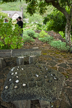 Manoa Heritage Center-8692