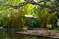 Moanalua Gardens, Honolulu, Hawaii