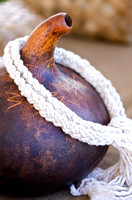 Hawaiian Gourd-9139