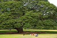 Moanalua Gardens, Honolulu, Hawaii