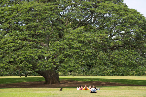 Moanalua Gardens, Honolulu, Hawaii