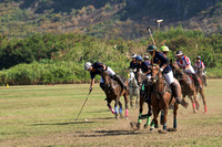 HNL POLO CLUB-6042