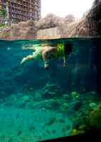 Aulani Snorkel Pool-1594