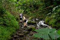 Likeke Falls-8701