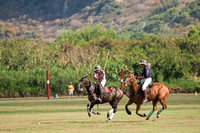 HNL POLO CLUB-6088