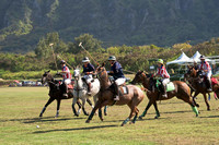 HNL POLO CLUB-6078